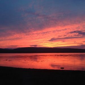 Meet your Posher, Sasha aleksandra